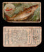 1910 Fish and Bait Imperial Tobacco Vintage Trading Cards You Pick Singles #1-50 #44 The Whiting  - TvMovieCards.com