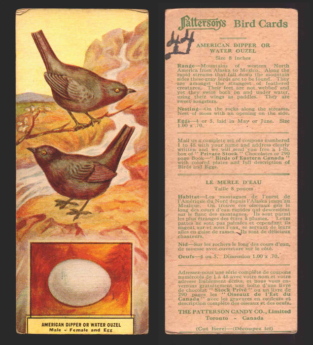 1924 Patterson's Bird Chocolate Vintage Trading Cards U Pick Singles #1-46 44 American Dipper or Water Ouzel  - TvMovieCards.com