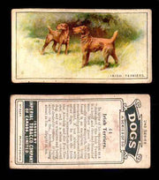 1925 Dogs 2nd Series Imperial Tobacco Vintage Trading Cards U Pick Singles #1-50 #44 Irish Terriers  - TvMovieCards.com