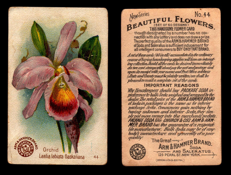 Beautiful Flowers New Series You Pick Singles Card #1-#60 Arm & Hammer 1888 J16 #44 Orchid - Laelia Labiata Gaskaliana  - TvMovieCards.com