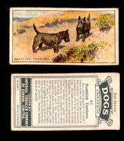 1925 Dogs 2nd Series Imperial Tobacco Vintage Trading Cards U Pick Singles #1-50 #45 Scottish Terriers  - TvMovieCards.com
