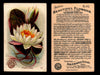 Beautiful Flowers New Series You Pick Singles Card #1-#60 Arm & Hammer 1888 J16 #45 Pond Lillies  - TvMovieCards.com