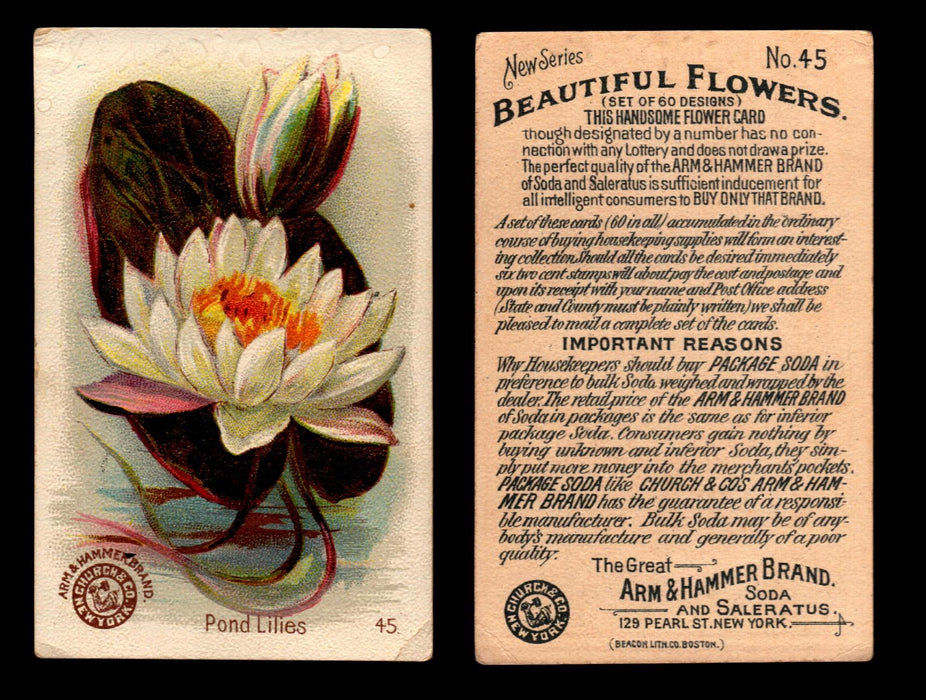 Beautiful Flowers New Series You Pick Singles Card #1-#60 Arm & Hammer 1888 J16 #45 Pond Lillies  - TvMovieCards.com