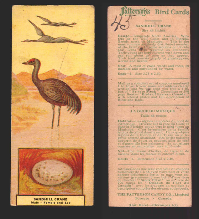1924 Patterson's Bird Chocolate Vintage Trading Cards U Pick Singles #1-46 45 Sandhill Crane  - TvMovieCards.com