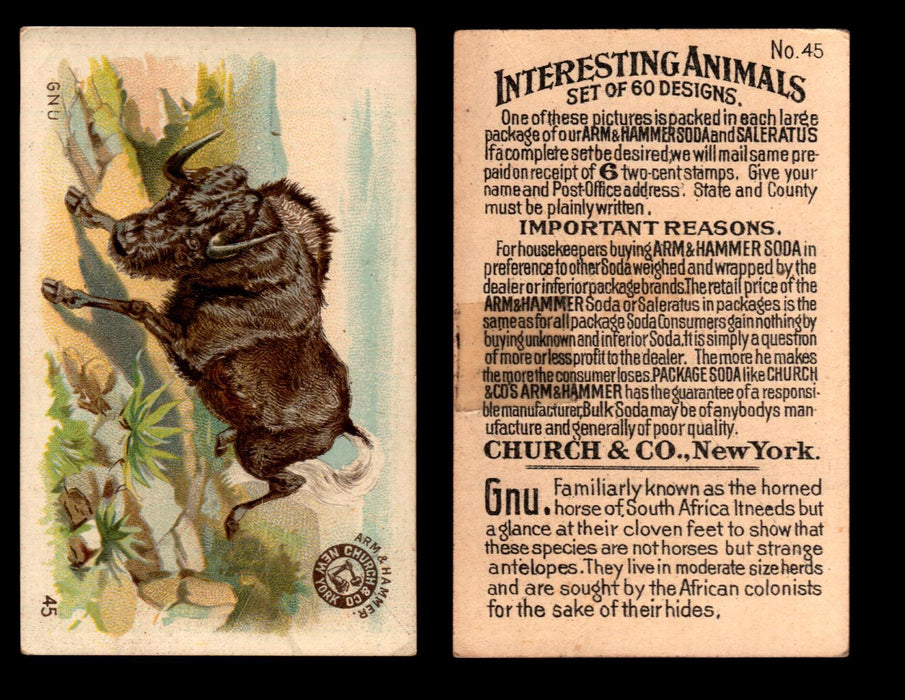 Interesting Animals You Pick Single Card #1-60 1892 J10 Church Arm & Hammer #45 Gnu Tape on Back  - TvMovieCards.com