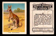 1923 Birds, Beasts, Fishes C1 Imperial Tobacco Vintage Trading Cards Singles #45 The Kangaroo  - TvMovieCards.com