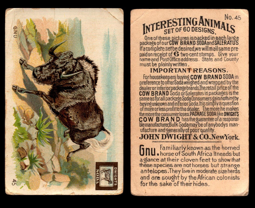 Interesting Animals You Pick Single Card #1-60 1892 J10 Church Arm & Hammer #45 Gnu Dwight Soda Damaged  - TvMovieCards.com
