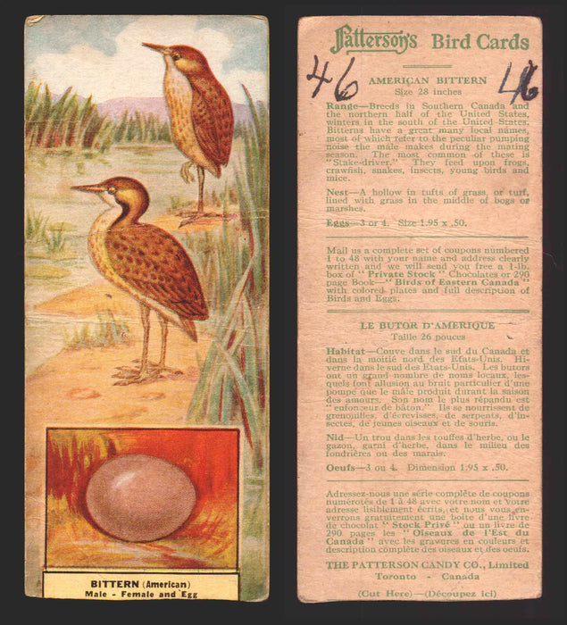 1924 Patterson's Bird Chocolate Vintage Trading Cards U Pick Singles #1-46 46 American Bittern  - TvMovieCards.com