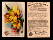 Beautiful Flowers New Series You Pick Singles Card #1-#60 Arm & Hammer 1888 J16 #46 Orchid - Freesia Refracta Alba  - TvMovieCards.com
