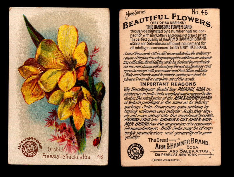 Beautiful Flowers New Series You Pick Singles Card #1-#60 Arm & Hammer 1888 J16 #46 Orchid - Freesia Refracta Alba  - TvMovieCards.com