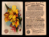Beautiful Flowers New Series You Pick Singles Card #1-#60 Arm & Hammer 1888 J16 #46 Orchid - Freesia Refracta Alba  - TvMovieCards.com