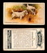 1925 Dogs 2nd Series Imperial Tobacco Vintage Trading Cards U Pick Singles #1-50 #46 Sealyham Terriers  - TvMovieCards.com
