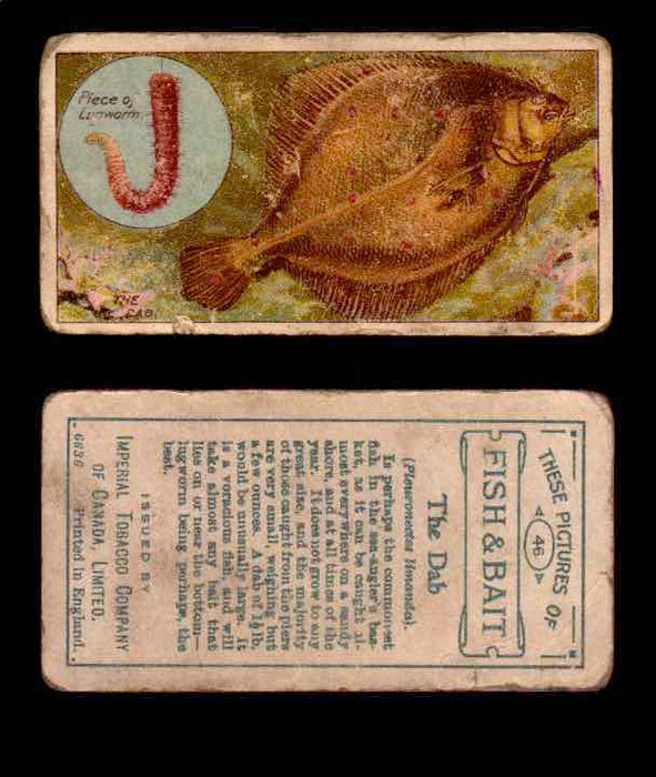 1910 Fish and Bait Imperial Tobacco Vintage Trading Cards You Pick Singles #1-50 #46 The Dab  - TvMovieCards.com