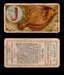 1910 Fish and Bait Imperial Tobacco Vintage Trading Cards You Pick Singles #1-50 #46 The Dab  - TvMovieCards.com