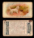 1925 Dogs 2nd Series Imperial Tobacco Vintage Trading Cards U Pick Singles #1-50 #47 West Highland White Terrier  - TvMovieCards.com