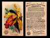 Beautiful Flowers New Series You Pick Singles Card #1-#60 Arm & Hammer 1888 J16 #47 Orchid - Catleya Dowiana  - TvMovieCards.com