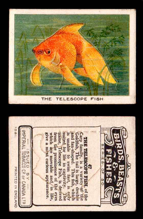 1923 Birds, Beasts, Fishes C1 Imperial Tobacco Vintage Trading Cards Singles #47 The Telescope Fish  - TvMovieCards.com