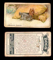 1925 Dogs 2nd Series Imperial Tobacco Vintage Trading Cards U Pick Singles #1-50 #48 Yorkshire Terrier  - TvMovieCards.com