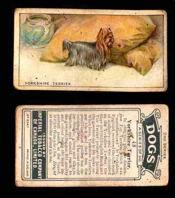 1925 Dogs 2nd Series Imperial Tobacco Vintage Trading Cards U Pick Singles #1-50 #48 Yorkshire Terrier  - TvMovieCards.com