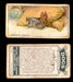 1925 Dogs 2nd Series Imperial Tobacco Vintage Trading Cards U Pick Singles #1-50 #48 Yorkshire Terrier  - TvMovieCards.com