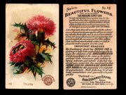 Beautiful Flowers New Series You Pick Singles Card #1-#60 Arm & Hammer 1888 J16 #48 Thistle  - TvMovieCards.com