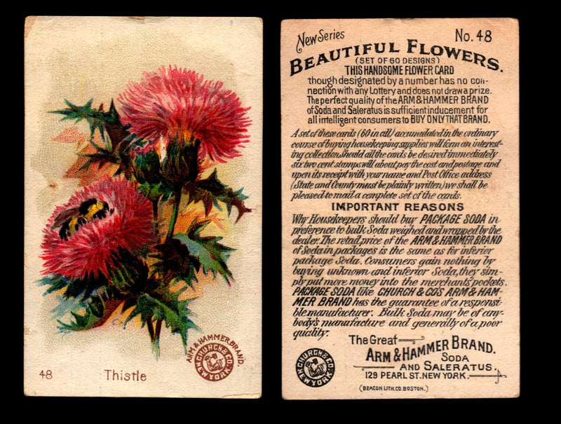 Beautiful Flowers New Series You Pick Singles Card #1-#60 Arm & Hammer 1888 J16 #48 Thistle  - TvMovieCards.com