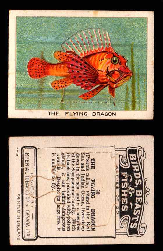 1923 Birds, Beasts, Fishes C1 Imperial Tobacco Vintage Trading Cards Singles #48 The Flying Dragon  - TvMovieCards.com