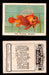 1923 Birds, Beasts, Fishes C1 Imperial Tobacco Vintage Trading Cards Singles #48 The Flying Dragon  - TvMovieCards.com