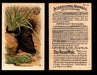 Interesting Animals You Pick Single Card #1-60 1892 J10 Church Arm & Hammer #49 Star-nosed Mole  - TvMovieCards.com