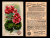 Beautiful Flowers New Series You Pick Singles Card #1-#60 Arm & Hammer 1888 J16 #49 Geranium  - TvMovieCards.com