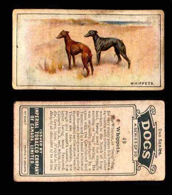 1925 Dogs 2nd Series Imperial Tobacco Vintage Trading Cards U Pick Singles #1-50 #49 Whippets  - TvMovieCards.com