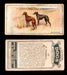 1925 Dogs 2nd Series Imperial Tobacco Vintage Trading Cards U Pick Singles #1-50 #49 Whippets  - TvMovieCards.com