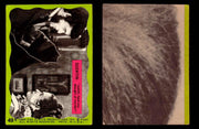 Dark Shadows Series 2 (Green) Philadelphia Gum Vintage Trading Cards You Pick #49  - TvMovieCards.com