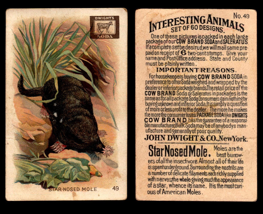 Interesting Animals You Pick Single Card #1-60 1892 J10 Church Arm & Hammer #49 Star-nosed Mole Dwight Soda  - TvMovieCards.com