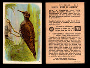 Birds - Useful Birds of America 5th Series You Pick Singles Church & Dwight J-9 #4 Sandpiper  - TvMovieCards.com