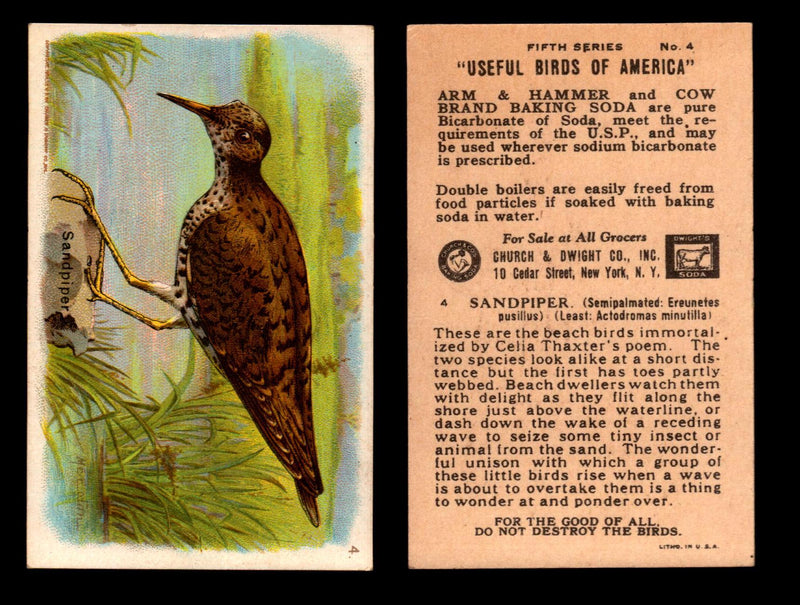 Birds - Useful Birds of America 5th Series You Pick Singles Church & Dwight J-9 #4 Sandpiper  - TvMovieCards.com
