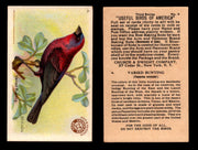 Birds - Useful Birds of America 3rd Series You Pick Singles Church & Dwight J-7 #4 Varied Bunting  - TvMovieCards.com