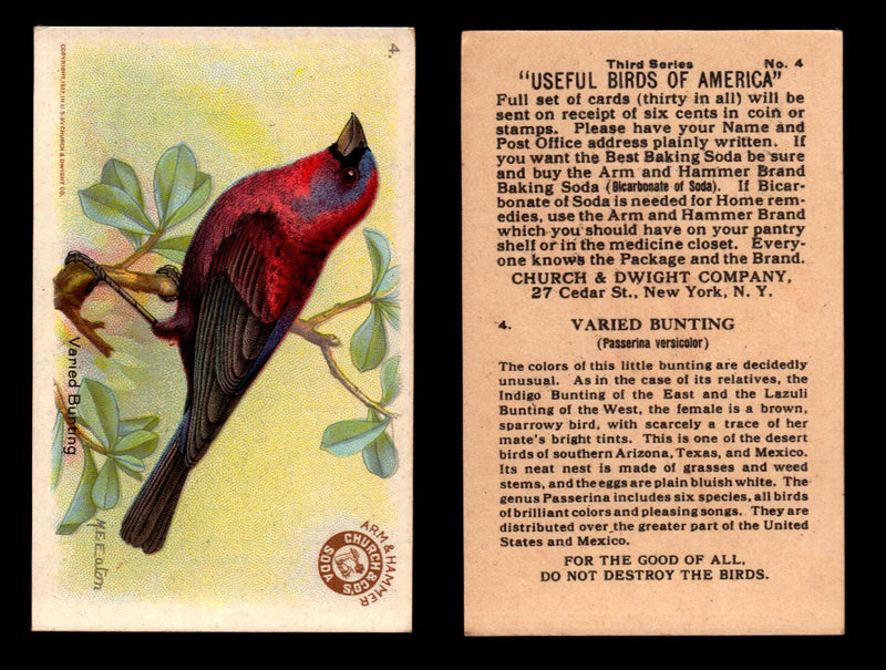 Birds - Useful Birds of America 3rd Series You Pick Singles Church & Dwight J-7 #4 Varied Bunting  - TvMovieCards.com