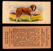 1929 V13 Cowans Dog Pictures Vintage Trading Cards You Pick Singles #1-24 #4 Saint Bernard  - TvMovieCards.com
