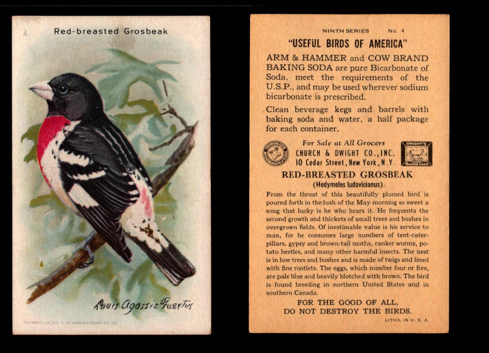 Birds - Useful Birds of America 9th Series You Pick Singles Church & Dwight J-9 #4 Red-breasted Grosbeak  - TvMovieCards.com