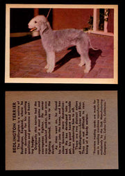 1957 Dogs Premiere Oak Man. R-724-4 Vintage Trading Cards You Pick Singles #1-42 #4 Bedlington Terrier  - TvMovieCards.com