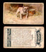 1925 Dogs 2nd Series Imperial Tobacco Vintage Trading Cards U Pick Singles #1-50 #4 Bulldog  - TvMovieCards.com