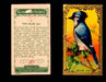 1910 Game Bird Series C14 Imperial Tobacco Vintage Trading Cards Singles #1-30 #4 The Blue Jay  - TvMovieCards.com