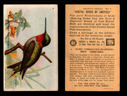 Birds - Useful Birds of America 7th Series You Pick Singles Church & Dwight J-9 #4 Ruby-throated Humming-bird  - TvMovieCards.com