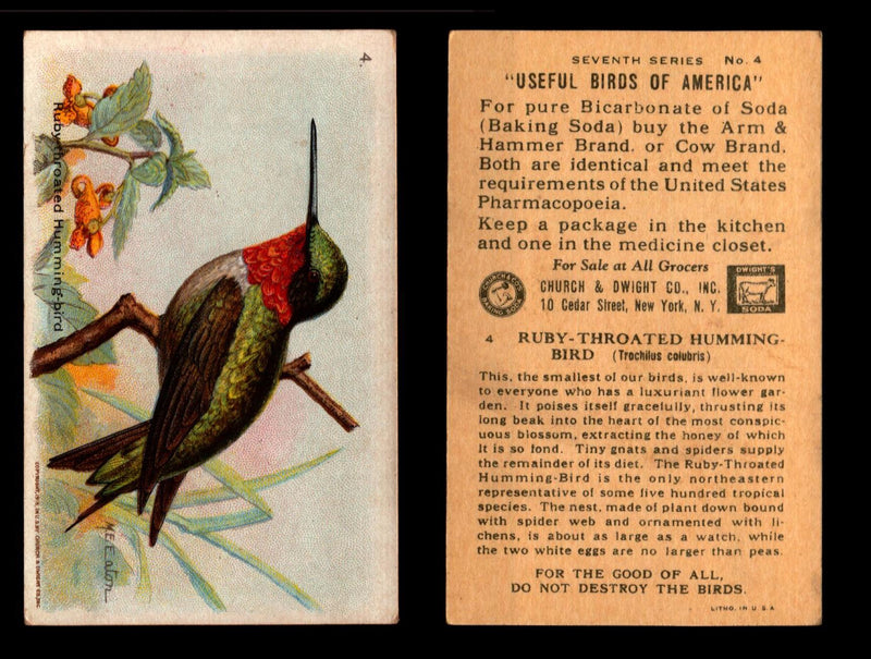 Birds - Useful Birds of America 7th Series You Pick Singles Church & Dwight J-9 #4 Ruby-throated Humming-bird  - TvMovieCards.com