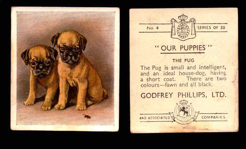 1936 Godfrey Phillips "Our Puppies" Tobacco You Pick Singles Trading Cards #1-30 #4 The Pug  - TvMovieCards.com