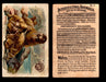 Interesting Animals You Pick Single Card #1-60 1892 J10 Church Arm & Hammer #4 Walrus  - TvMovieCards.com