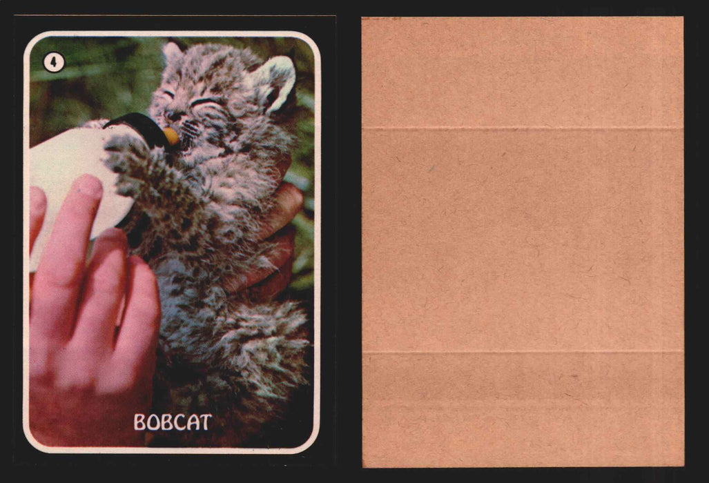 Zoo's Who Topps Animal Sticker Trading Cards You Pick Singles #1-40 1975 #4 Bobcat  - TvMovieCards.com