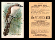 Birds - Useful Birds of America 10th Series You Pick Singles Church & Dwight J-9 #4 Black-billed Cuckoo  - TvMovieCards.com