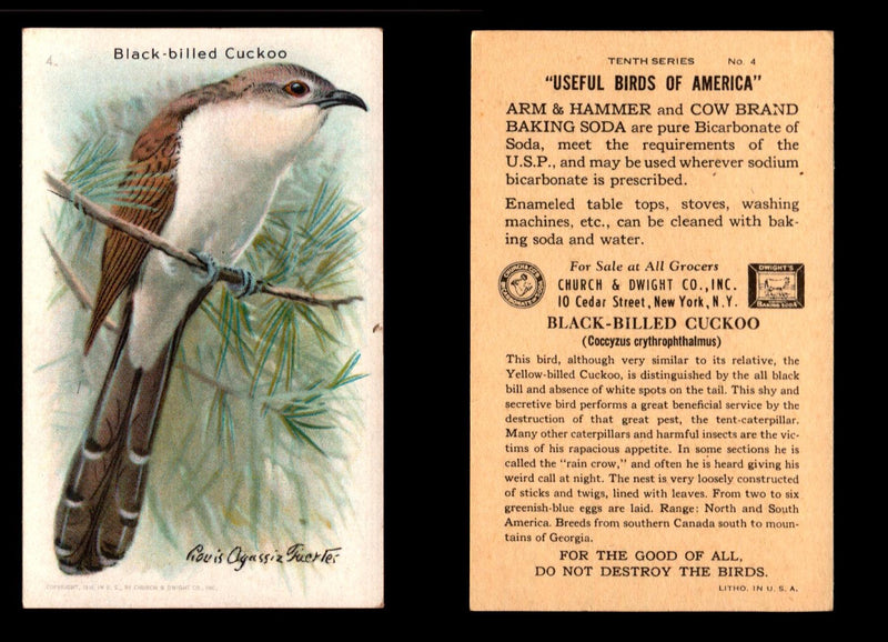 Birds - Useful Birds of America 10th Series You Pick Singles Church & Dwight J-9 #4 Black-billed Cuckoo  - TvMovieCards.com